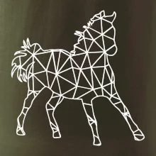 Geometria - kôň Geometria - kôň