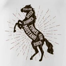 Horse mustang Horse mustang