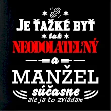 Neodolateľný manžel Neodolateľný manžel