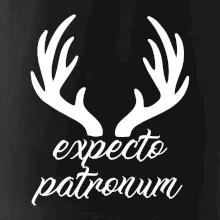 Harry - Expecto patronum Harry - Expecto patronum