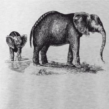 Slonica a sloníča kreslené