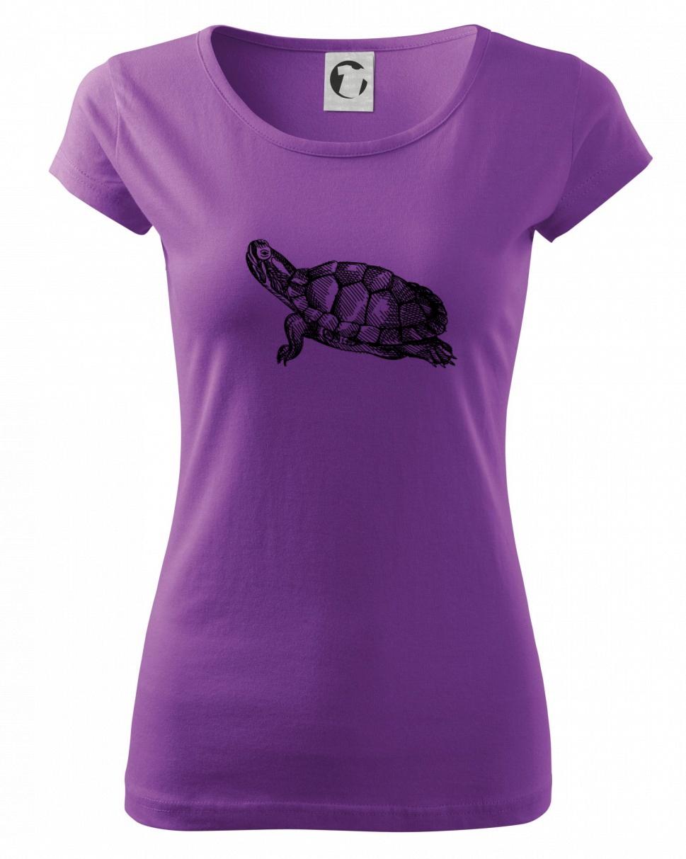 Ceruzkou kreslená korytnačka Ceruzkou kreslená korytnačka