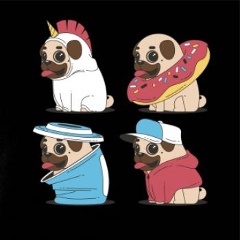 Mops v prevleku