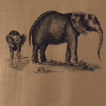 Slonica a sloníča kreslené