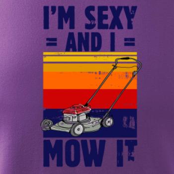 I'm sexy and i mow it