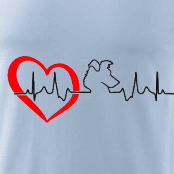 Borderská kólia EKG Borderská kólia EKG