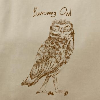 Kuvik zemný burrowing owl