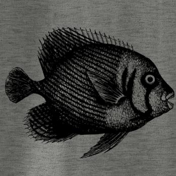 Morská ryba kreslená Morská ryba kreslená