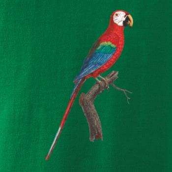 Papagáj červený na vetve