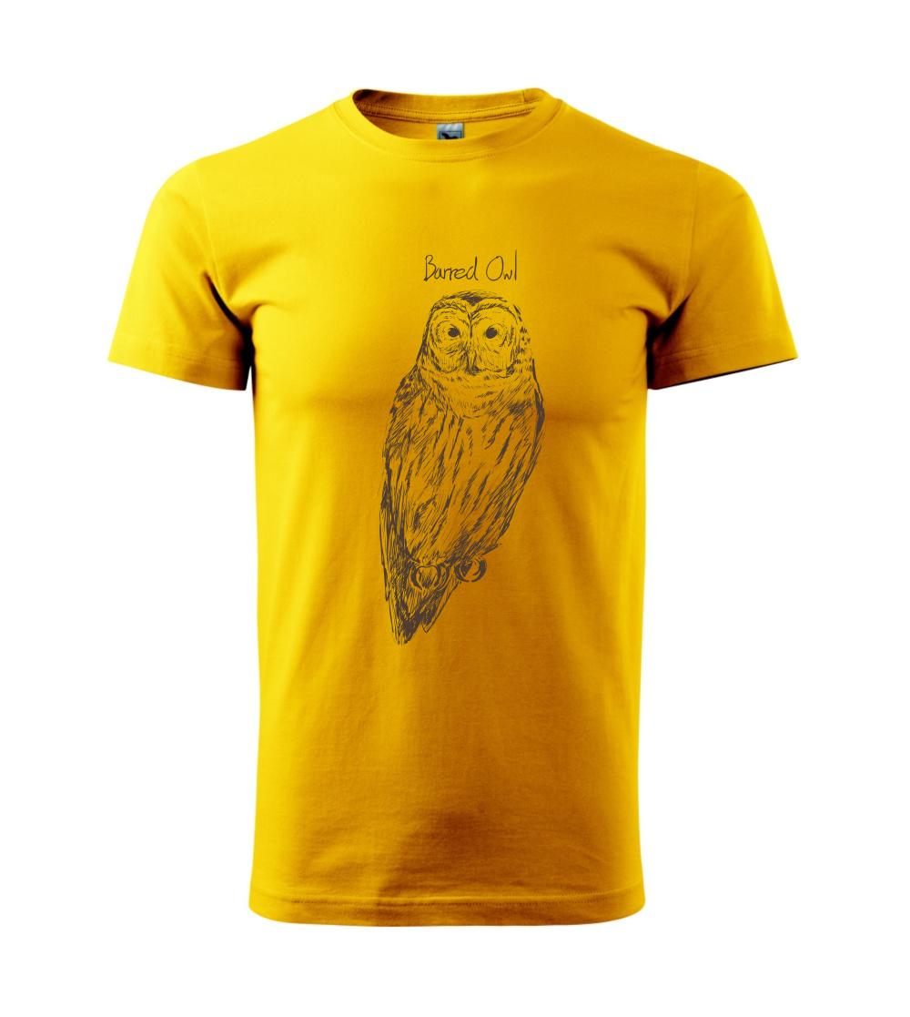 Sova pásikavá  Barred owl Sova pásikavá  Barred owl