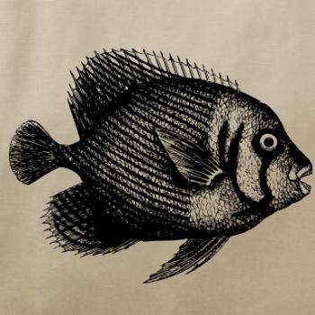 Morská ryba kreslená