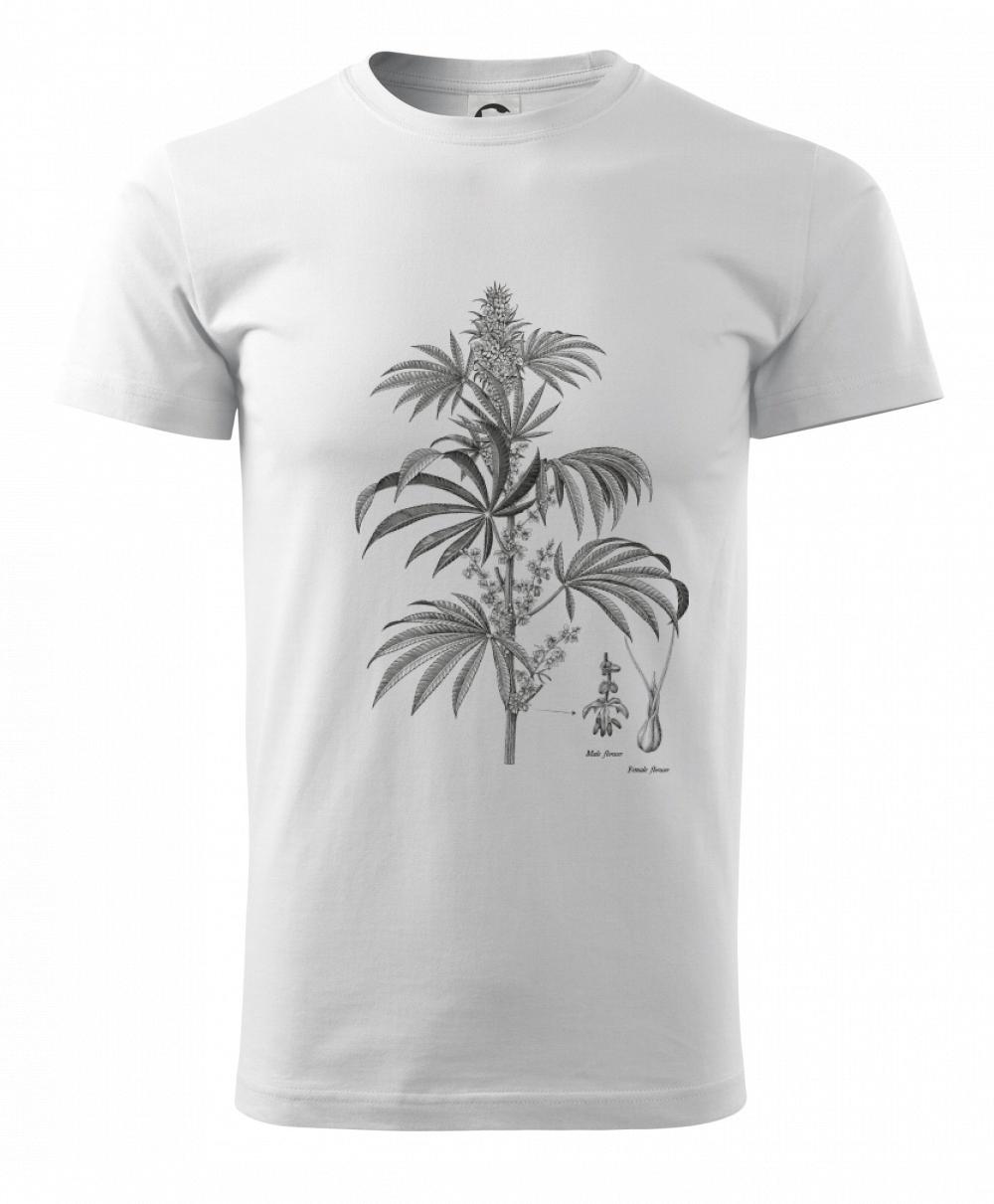 Konope kvietok čiernobiely   Konope kvietok čiernobiely