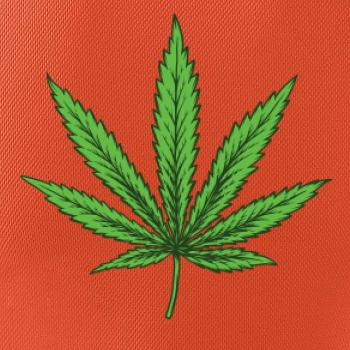 Zelený list Zelený list