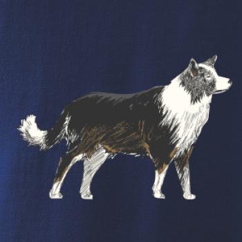 Border kólia kreslená Border kólia kreslená