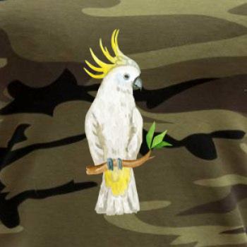 Papagáj Kakadu kreslený