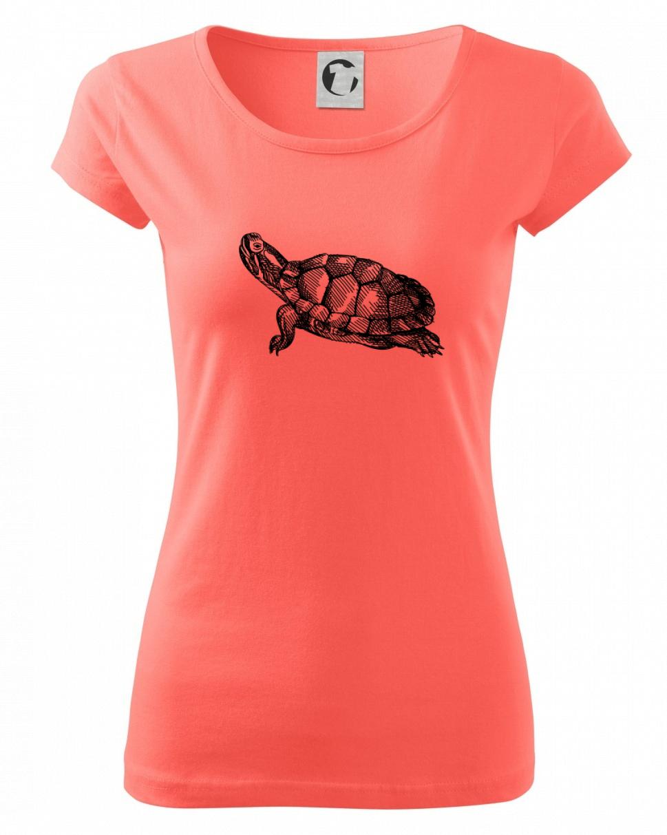 Ceruzkou kreslená korytnačka Ceruzkou kreslená korytnačka