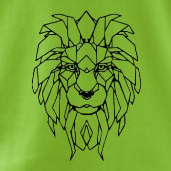 Geometria - lev tvár