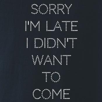 Sorry I am late i didn't want to come