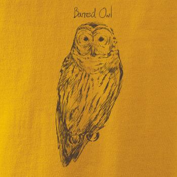 Sova pásikavá  Barred owl Sova pásikavá  Barred owl