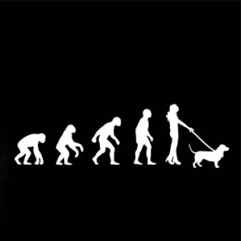 Evolúcia pes baset (muž-žena)