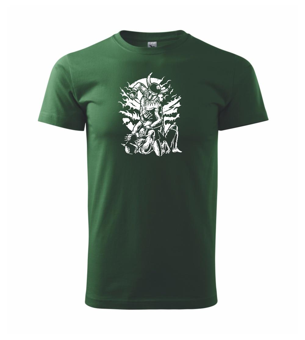 Viking MMA Fighter Viking MMA Fighter