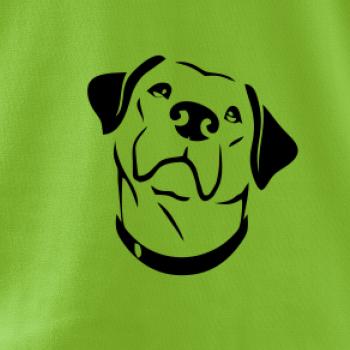 Labrador obrys