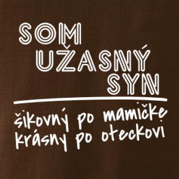 Som úžasný syn