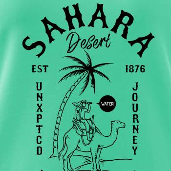 Desert Sahara nature