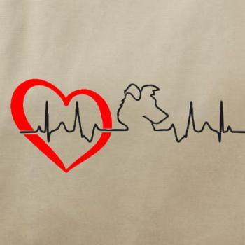 Borderská kólia EKG