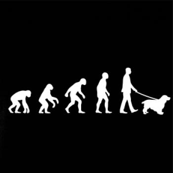 Evolúcia pes kokeršpaniel (muž-žena)