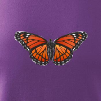 Motýľ Monarcha sťahovavý