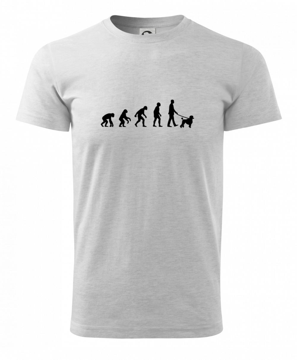 Evolúcia pes pudel (muž-žena) Evolúcia pes pudel (muž-žena)