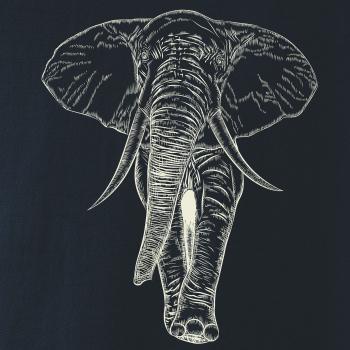 Slon vo farbe slonovej kosti