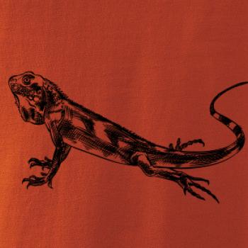 Ceruzkou kreslený Leguán