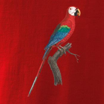 Papagáj červený na vetve