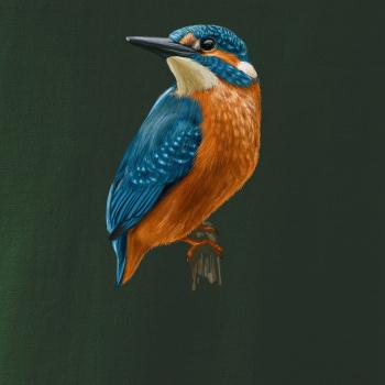 Ľadnáčik kreslený