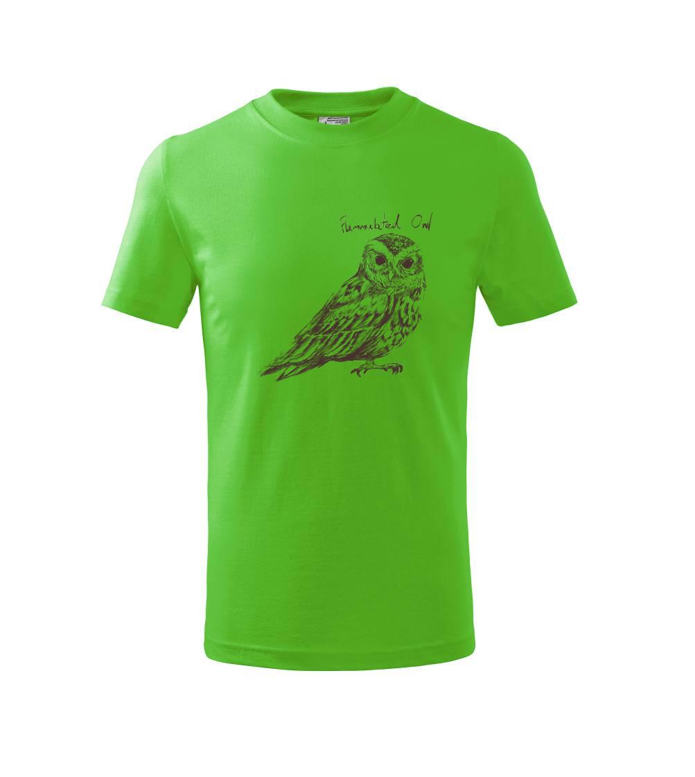 Výrček ohnivý  flammulated owl