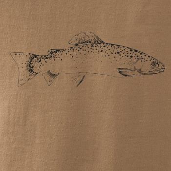 Pstruh duhový rovný