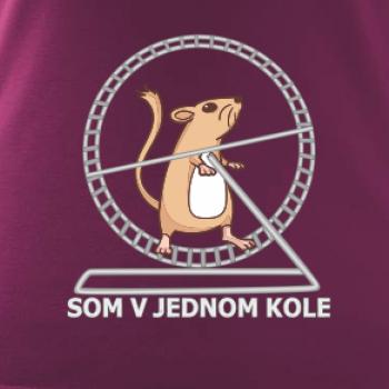 Som v jednom kole