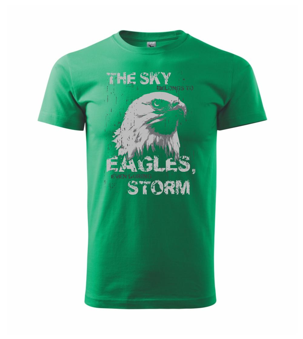 Tričká so zvieratami - Eagle skystorm - Klasické pánske tričko vyššej gramáže