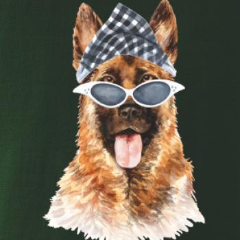 German shepherd so šatkou