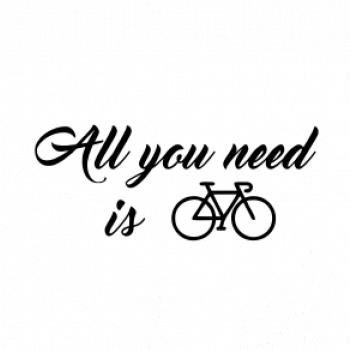 All you need is bike