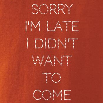 Sorry I am late i didn't want to come