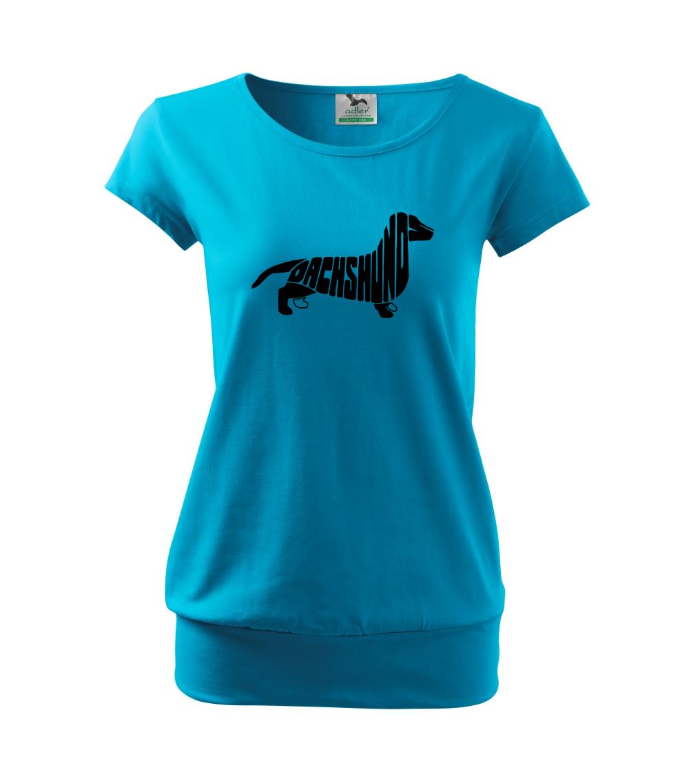 Jazvečík - Dachshund Jazvečík - Dachshund