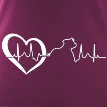 Stafordšírsky bulteriér  EKG Stafordšírsky bulteriér  EKG