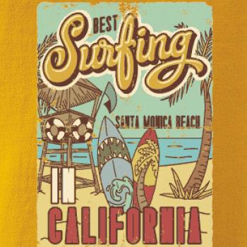 Santa Monica Beach Surf