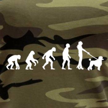 Evolúcia pes pudel (muž-žena) Evolúcia pes pudel (muž-žena)
