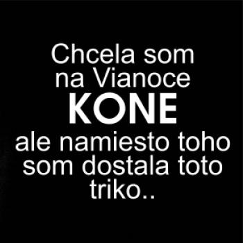 Chcela som na Vianoce kone