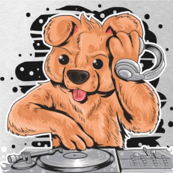 DJ Teddy