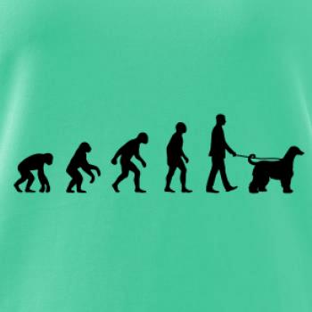 Evolúcia pes afgánsky chrt (muž-žena)